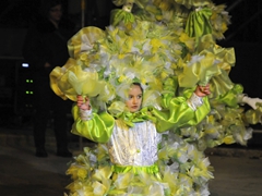 Colori del Carnevale di Manfredonia - foto 026
