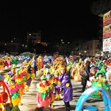 Sfilata della Notte Colorata 2010. Foto 037