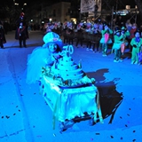 Sfilata della Notte Colorata 2010. Foto 057