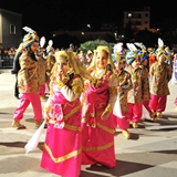 Sfilata della Notte Colorata 2010. Foto 065