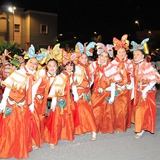 Sfilata della Notte Colorata 2010. Foto 077