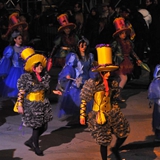 Sfilata della Notte Colorata 2010. Foto 124