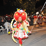 Sfilata della Notte Colorata 2010. Foto 176