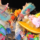 Sfilata della Notte Colorata 2010. Foto 184