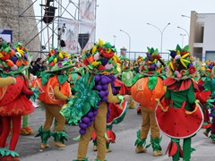 Sfilata carri e gruppi 2011, foto 276