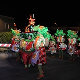 Parata Golden Night 2011. Foto 411