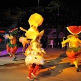 Parata Golden Night 2011. Foto 419