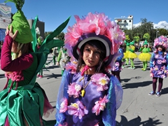 Sfilata dei carri, gruppi e meraviglie 2014, foto 223