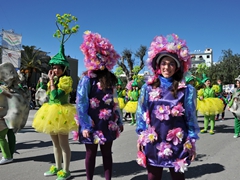 Sfilata dei carri, gruppi e meraviglie 2014, foto 225