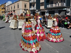 Sfilata dei carri, gruppi e meraviglie 2014, foto 242