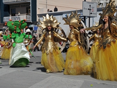 Sfilata dei carri, gruppi e meraviglie 2014, foto 262