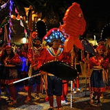 carnevale_di_manfredonia_2020_sfilata_notte_colorata_foto_002