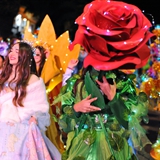 sfilata_notte_colorata_foto_073