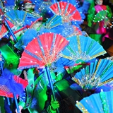 sfilata_notte_colorata_foto_117