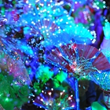 sfilata_notte_colorata_foto_123