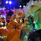 sfilata_notte_colorata_foto_208