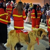 sfilata_notte_colorata_foto_248