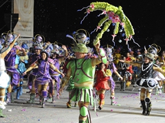 Colori del Carnevale di Manfredonia - foto 033
