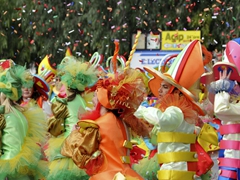 Colori del Carnevale di Manfredonia - foto 052