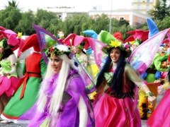 Colori del Carnevale di Manfredonia - foto 060