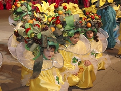 Colori del Carnevale di Manfredonia - foto 094