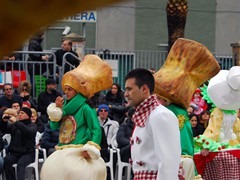 Sfilata carri e gruppi 2011, foto 058