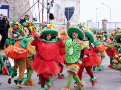 Sfilata carri e gruppi 2011, foto 271