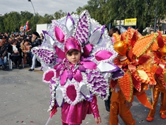 Sfilata carri allegorici, gruppi e meraviglie 2012. Foto 046