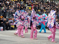 Sfilata carri allegorici, gruppi e meraviglie 2012. Foto 056