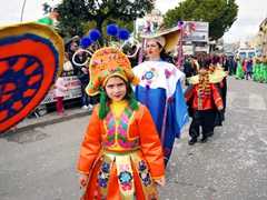 Sfilata carri allegorici, gruppi e meraviglie 2012. Foto 082