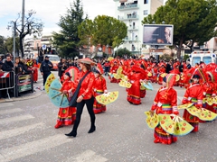 Sfilata carri allegorici, gruppi e meraviglie 2012. Foto 089