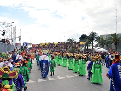 Sfilata carri allegorici, gruppi e meraviglie 2012. Foto 093