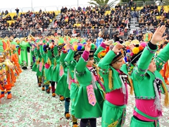 Sfilata carri allegorici, gruppi e meraviglie 2012. Foto 105