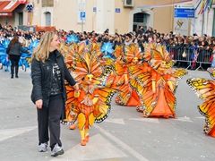 Sfilata carri allegorici, gruppi e meraviglie 2012. Foto 119