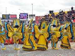 Sfilata carri allegorici, gruppi e meraviglie 2012. Foto 134