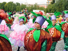 Sfilata carri allegorici, gruppi e meraviglie 2012. Foto 147