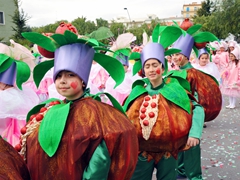 Sfilata carri allegorici, gruppi e meraviglie 2012. Foto 152