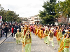 Sfilata carri allegorici, gruppi e meraviglie 2012. Foto 183