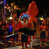 carnevale_di_manfredonia_2020_sfilata_notte_colorata_foto_002