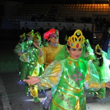 carnevale_di_manfredonia_2020_sfilata_notte_colorata_foto_228