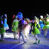 carnevale_di_manfredonia_2020_sfilata_notte_colorata_foto_292