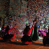 carnevale_di_manfredonia_2020_sfilata_notte_colorata_foto_340