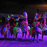 carnevale_di_manfredonia_2020_sfilata_notte_colorata_foto_474