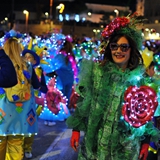 sfilata_notte_colorata_foto_156