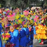 carnevale_manfredonia_sfilata_meraviglie_gruppi_foto_064