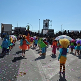 carnevale_manfredonia_sfilata_meraviglie_gruppi_foto_126
