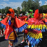 carnevale_manfredonia_sfilata_meraviglie_gruppi_foto_266
