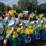carnevale_manfredonia_sfilata_meraviglie_gruppi_foto_276