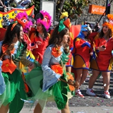 carnevale_manfredonia_sfilata_meraviglie_gruppi_foto_285