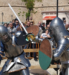 Corteo storico 2008, foto 022